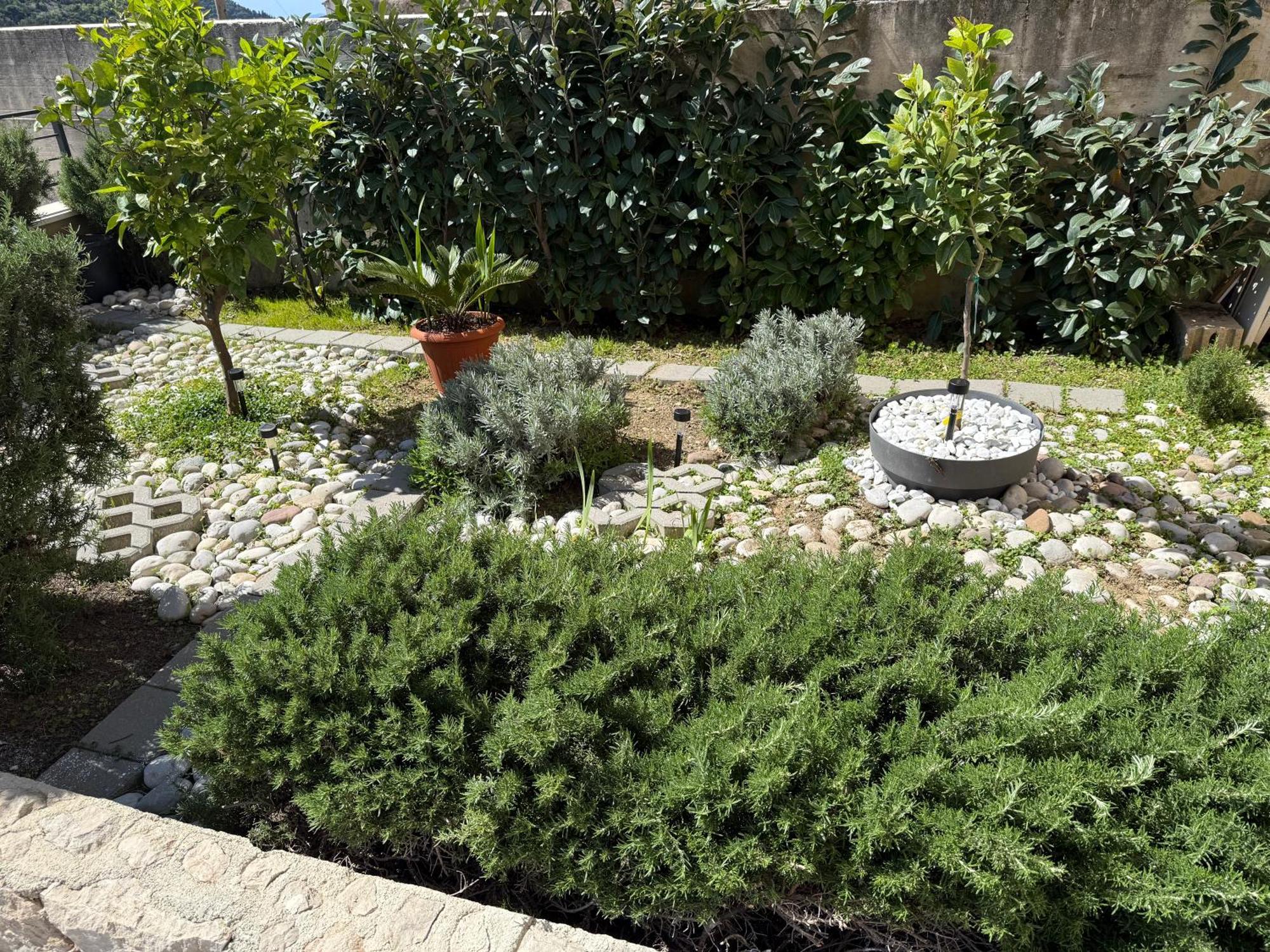 Lemon Tree Dubrovnik Apartments Ngoại thất bức ảnh