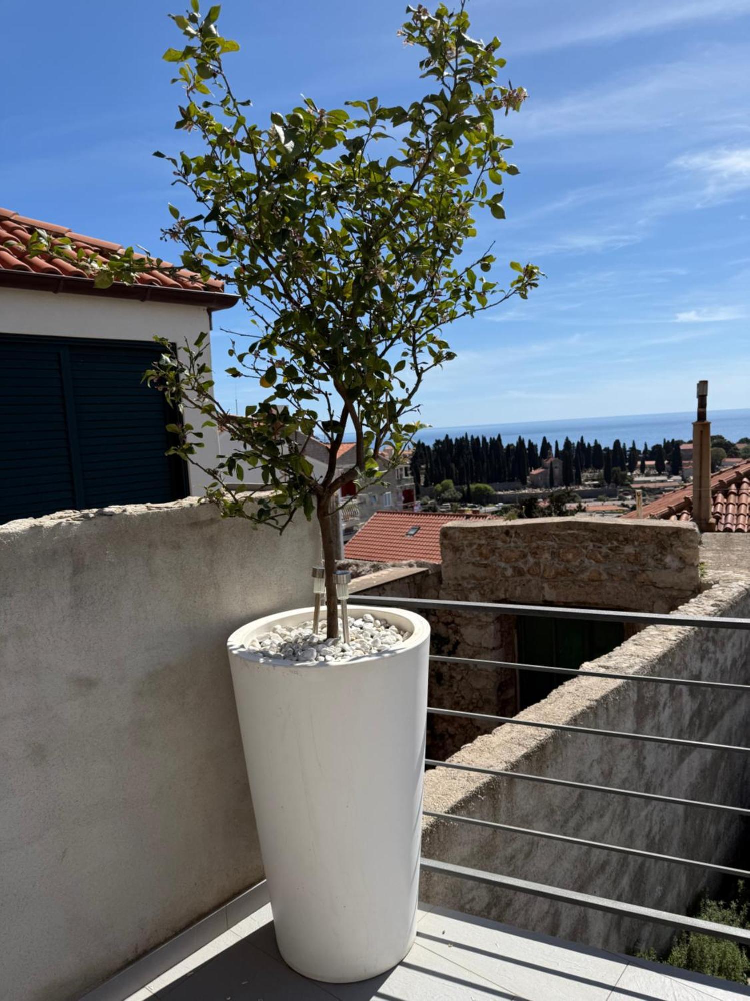 Lemon Tree Dubrovnik Apartments Ngoại thất bức ảnh